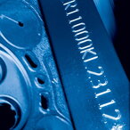 TELESIS – iglični obeleživači