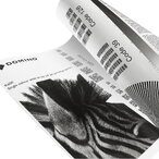 Piezo Drop on Demand принтање