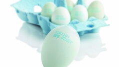 Новини во обележување на јајца за консумирање