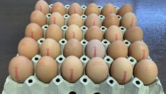 Novi pravilnik o kvalitetu jaja