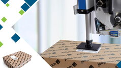 Jollyroom je odabrao Domino kako bi išao u korak sa sve većim zahtevima