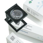 Glavobolja zbog obeležavanja? ELMED ima lek za Vas