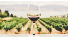 Track My Way aplikacija